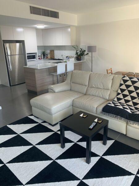 Brand new flat balgowlah, manly, 1 bedroom for rent