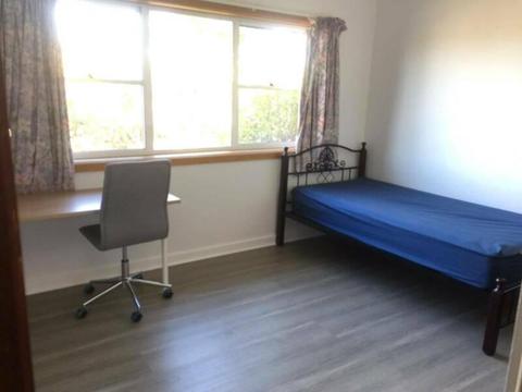 Sunny Spacious room for rent - Lindfield (own access)
