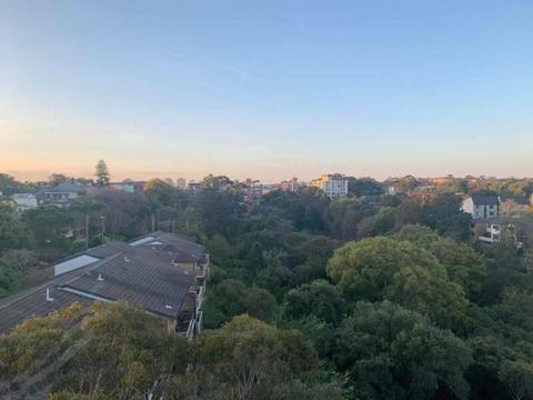 URGENT: Large Room with ocean views in Randwick