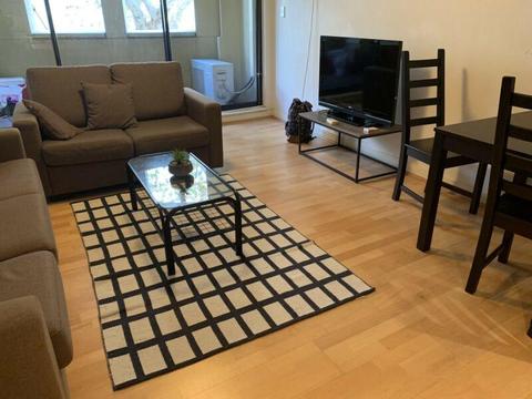 FEMALE ONLY APARTMENT