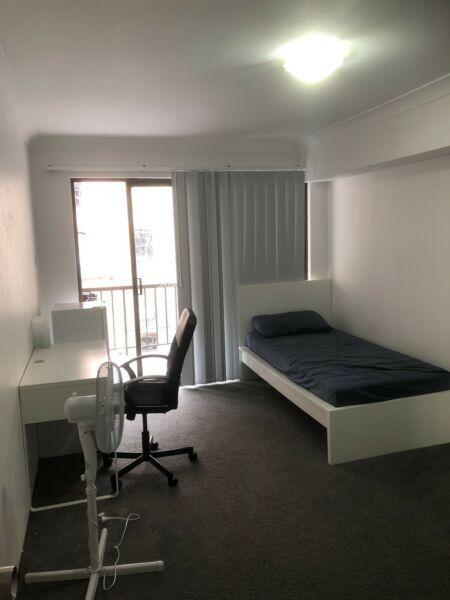 Single room in Pyrmont