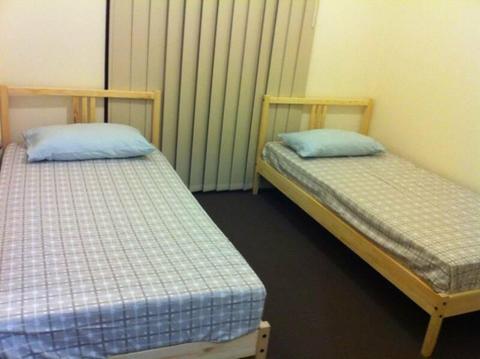 Girls Share Accommodation near UTS, Sydney Uni & CBD