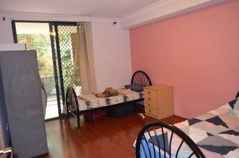 Cheap shared accommodation at Strathfield including bills