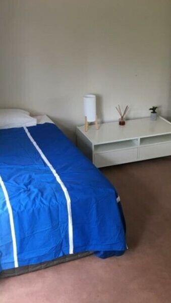 Big, bright and airy room available in Forestville