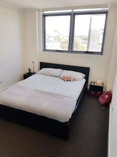 Room for rent 350pw in Wolli Creek
