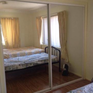 Bankstown Room for rent