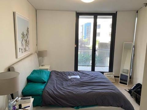 Premium shared room at Darling Harbour