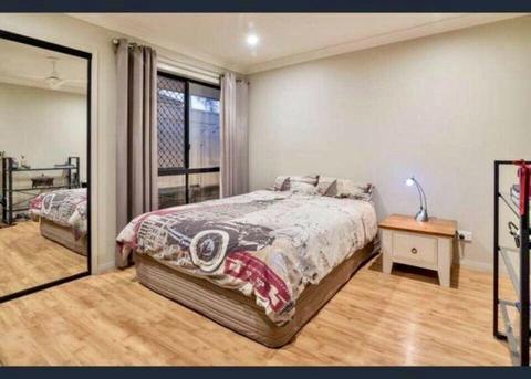 Room for Rent | Share House
