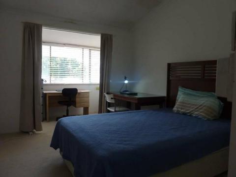 Large Room Quiet and Very Convenient,100m to Sunnybank Plaza,Coles etc