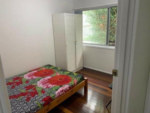 Room for rent !! Holland park!! 130$