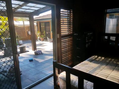 For Rent Self Contained Room Currumbin