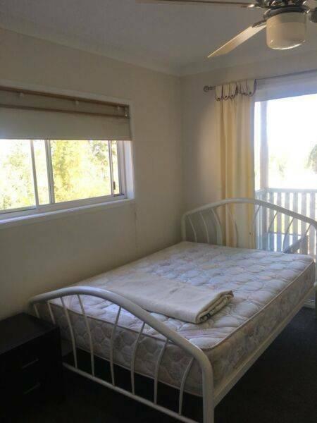 Furnished studio own balcony for rent in east Brisbane $240 pw with al