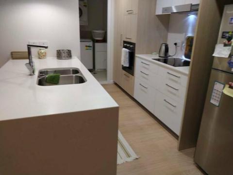 Flat mate required 2 bedroom unit Robina