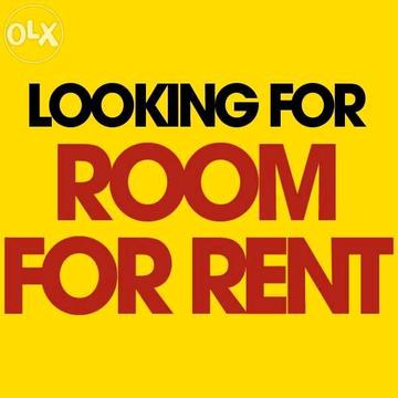 Wanted: Looking for room or studio or granny flat