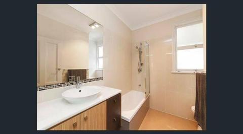 Annerley Room to rent