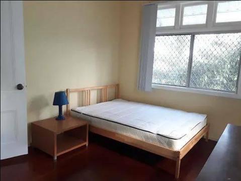 Room rent in Dutton Park $220/w in 2-bedr. apartment, Sept 9 - Oct 22