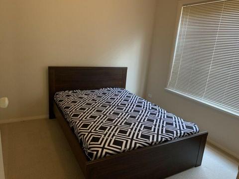 Room for rent in mawson lakes for 185 p/w