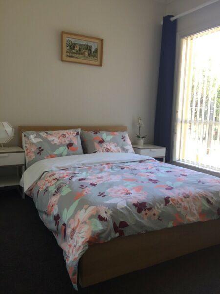 Sunny Double Room near Klemzig Interchange Stop