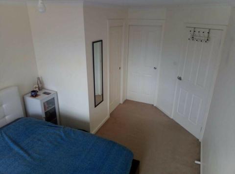 double room for short term rent