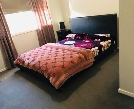 Room for Rent $600