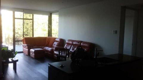 superior room to rent south perth