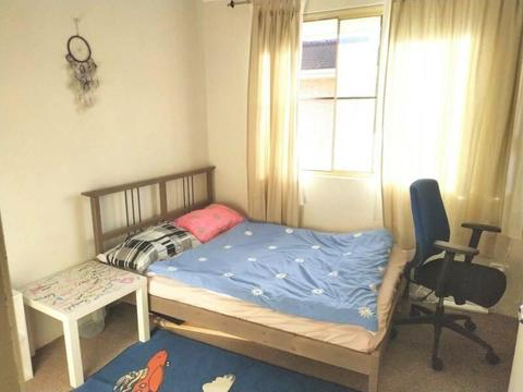 Northbridge Female Single room or Couple Double room