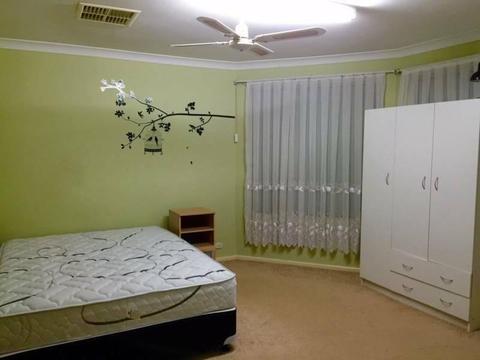Master room sized - Queens Park ( close to amenities )
