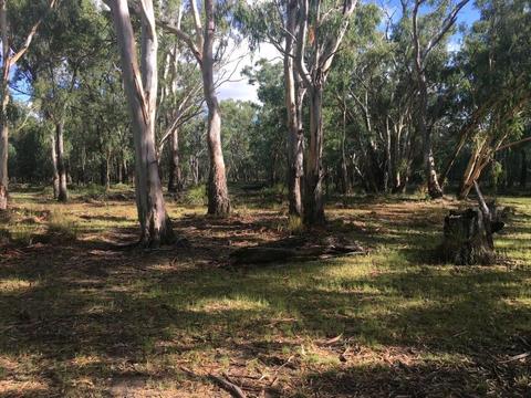 Freehold land 809.49 Hectares..2000 Acres..Sale or swap