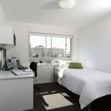 SHARING APARTMENT IN UNIVERSITY OF CANBERRA CAMPUS