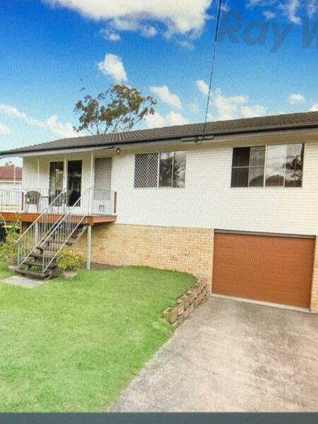 house for rent in Sunnybank