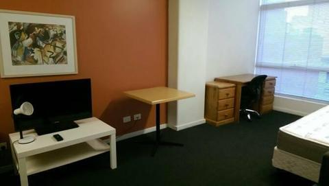 Fully Furnished City Apartment - Internet and Water FREE