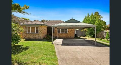 Prized Burwood Location - 3 bedroom house for lease