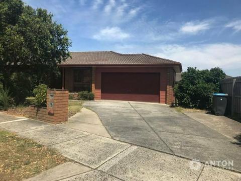 wantirna south family house for rent
