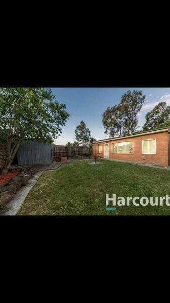 2 bedroom garage conversion for rent in Avondale Heights