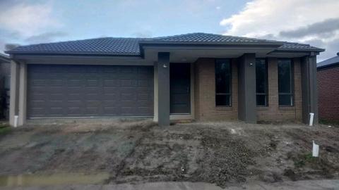 For rent - Brand new 3 Bed room House in Officer