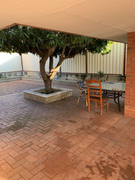 3x1 for rent in Canning Vale (available now)