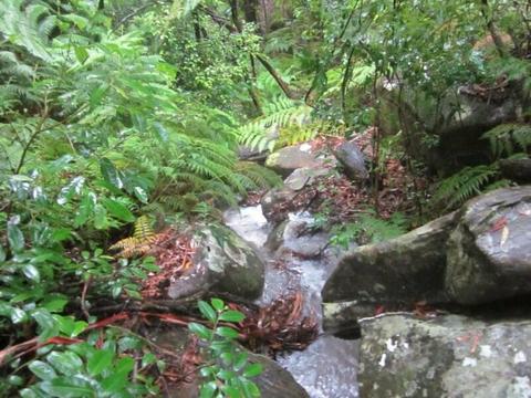 25 Acre forest w/waterfall 2 houses, 20 minutes from Windsor