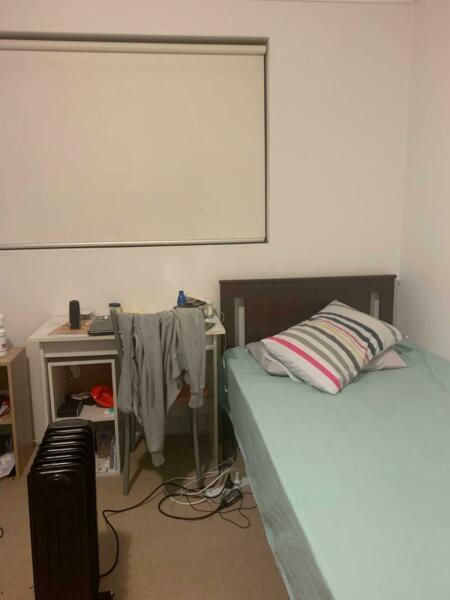 Shared Room Available near Macquarie University
