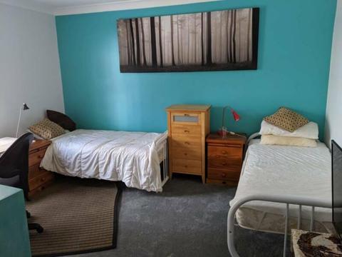 Room share in Chippendale- MALES or FEMALES