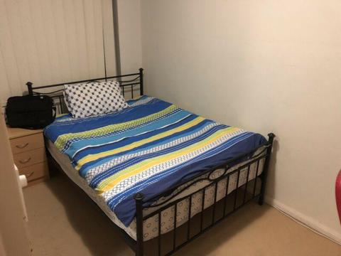 Room in Kingsford for rent