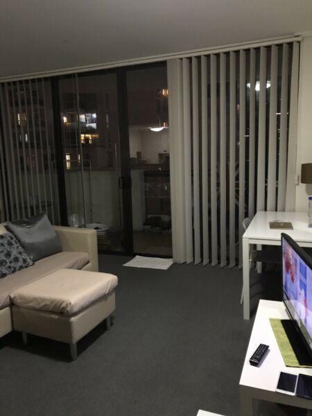 Room share for lease in Sydney CBD