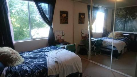 Short term rental - Large sunny bedroom in Newtown