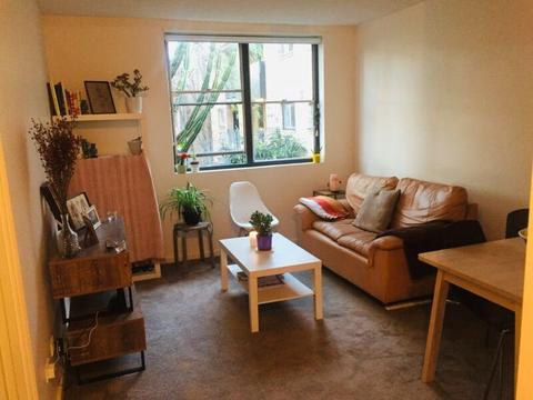 Cute apartment in Erskinville to rent for 2 weeks