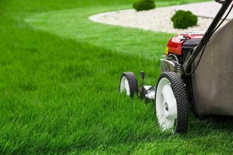 Lawn Mowing Business For Sale