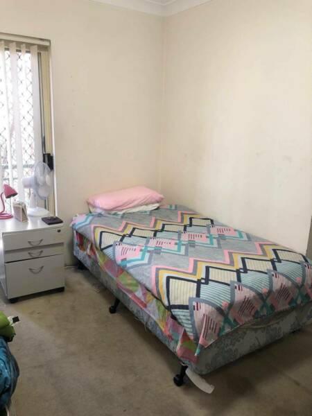 Looking for 1 girl for a Double Room Share in Chippendale $200p/w!!!