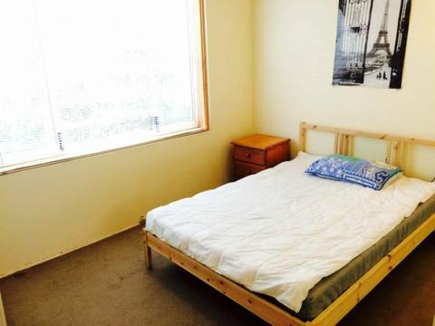 Eastern Suburbs Clovelly Full Furnished Room