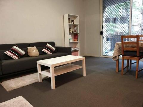 Master room for lease, Burwood