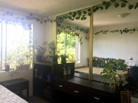 Room in green environment