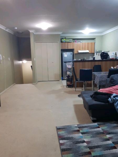 Room for rent near Strathfield Station single 300 share 150 each