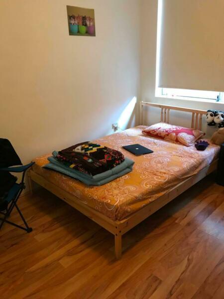 Single fully furnished room for rent for 20 days